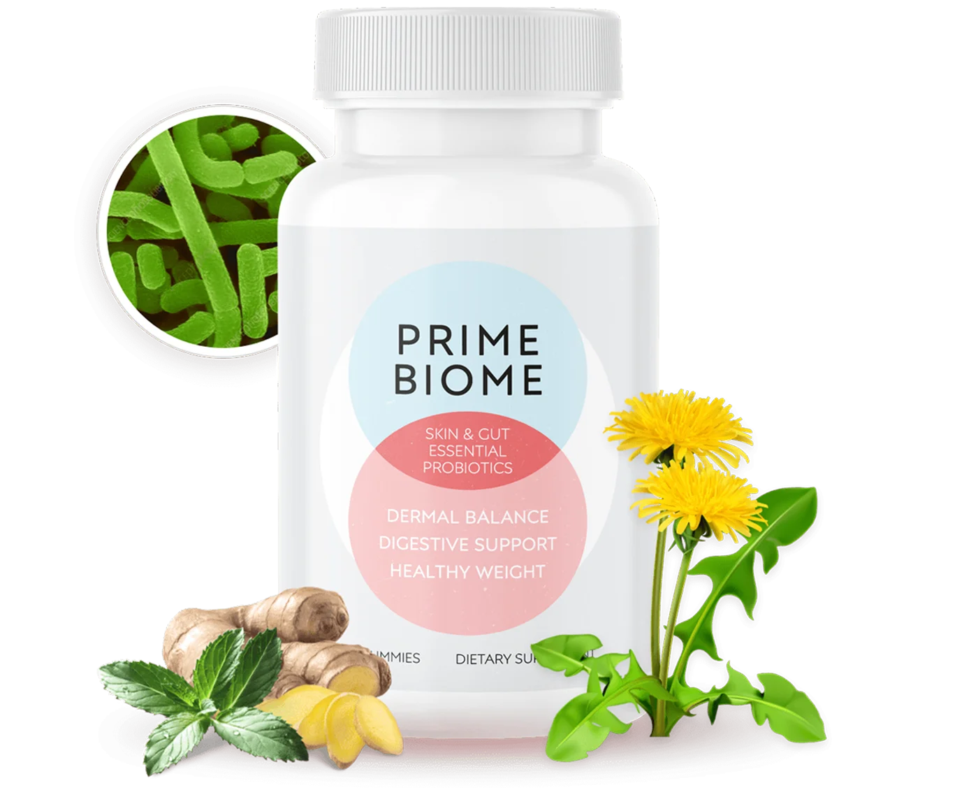 PrimeBiome